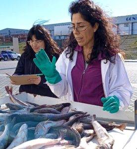 INIDEP dictó un curso sobre "Merluza Común y Fauna Acompañante" en Caleta Olivia 