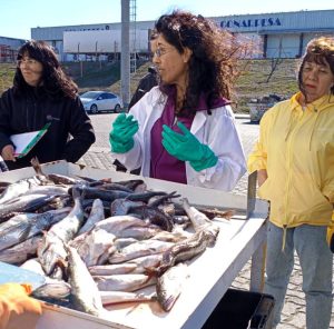 INIDEP dictó un curso sobre "Merluza Común y Fauna Acompañante" en Caleta Olivia 