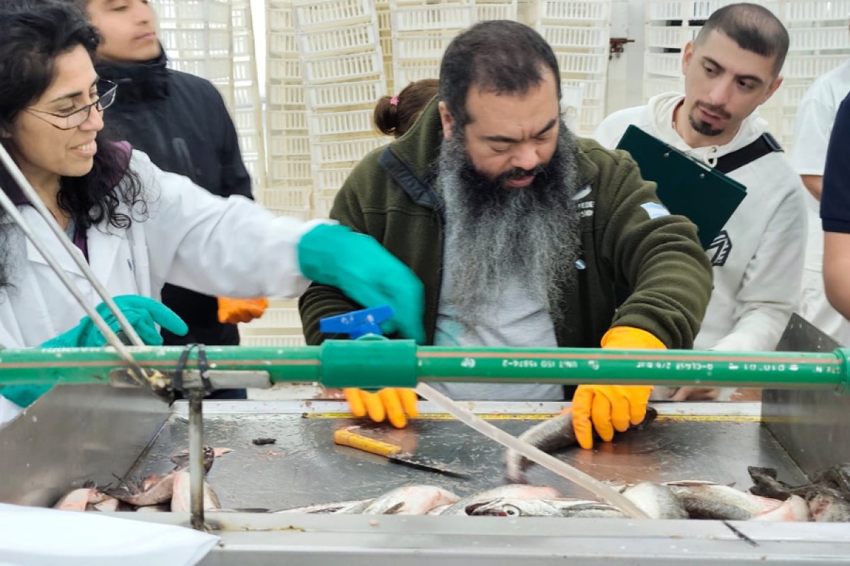 INIDEP dictó un curso sobre "Merluza Común y Fauna Acompañante" en Caleta Olivia