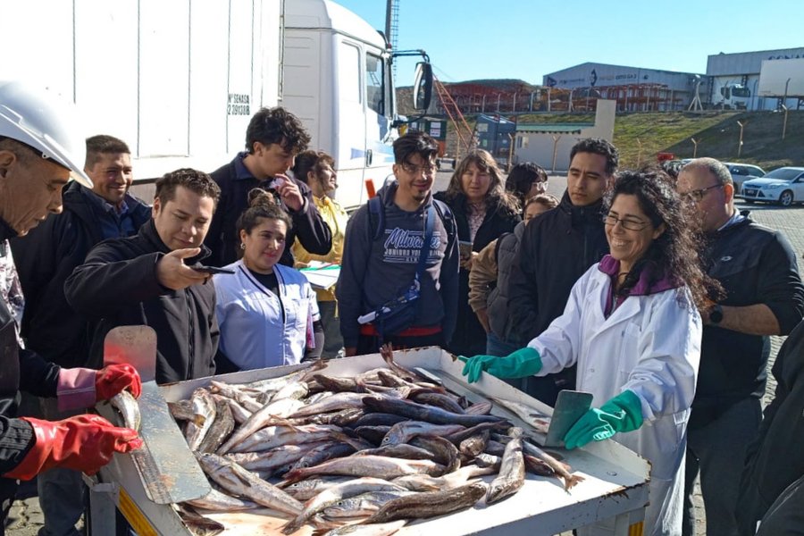 INIDEP dictó un curso sobre "Merluza Común y Fauna Acompañante" en Caleta Olivia