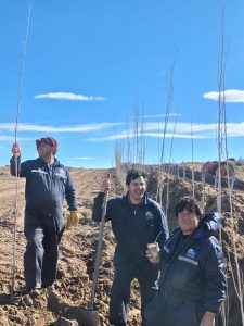 El Chaltén: Dio comienzo la Forestación Estratégica
