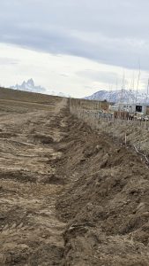El Chaltén: Dio comienzo la Forestación Estratégica