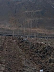 El Chaltén: Dio comienzo la Forestación Estratégica