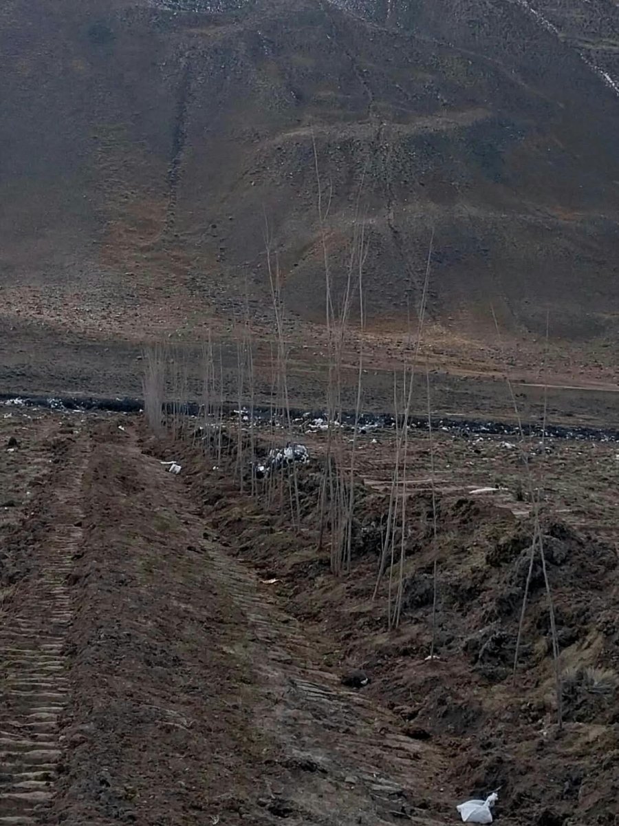El Chaltén: Dio comienzo la Forestación Estratégica