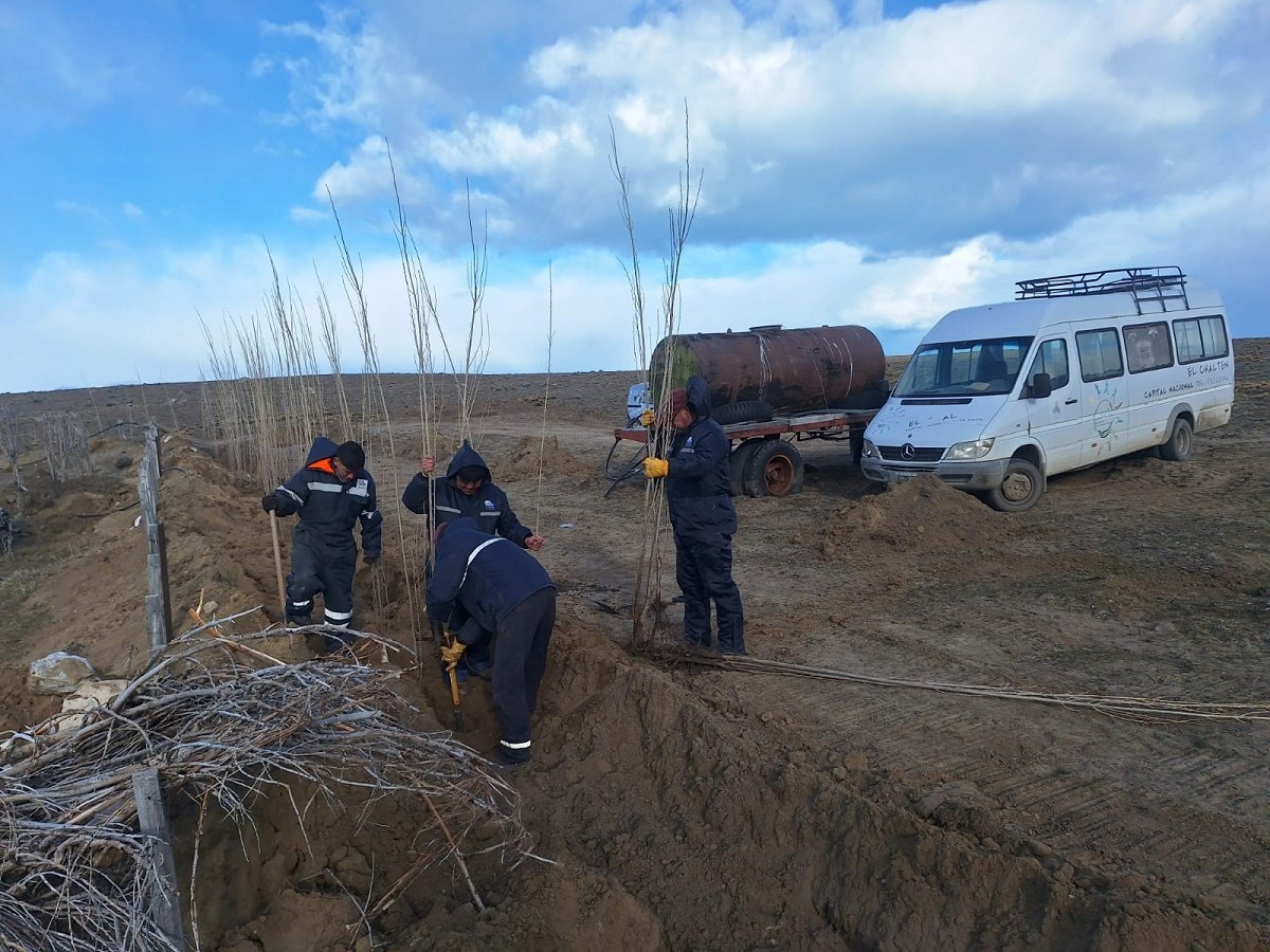 El Chaltén: Dio comienzo la Forestación Estratégica