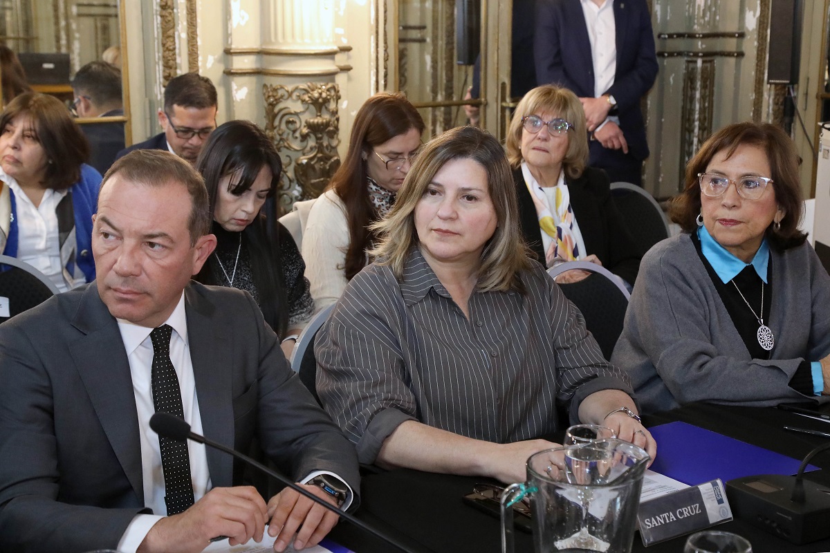 Lorena Ross participó del Consejo Federal de Salud centrado en discapacidad