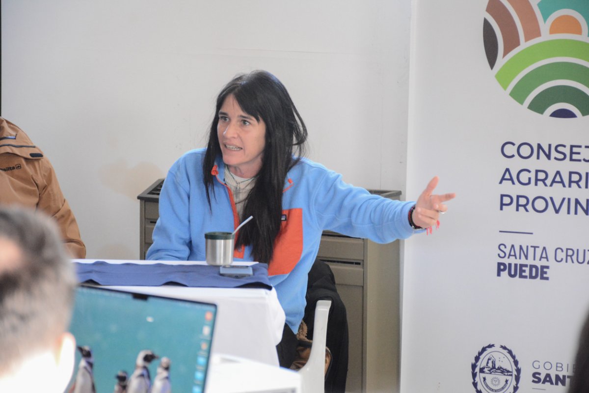 Sasso: “Mirar el mar trae empleo y proyección para todos los santacruceños”