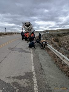 Realizaron distintas acciones en rutas viales de la Provincia para garantizar la transitabilidad