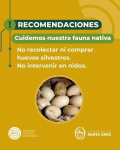 Santa Cruz alerta sobre la recolección ilegal de huevos de fauna silvestre