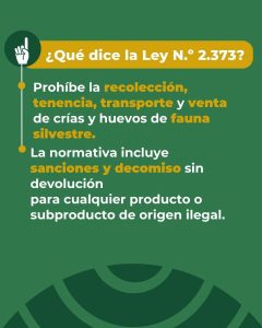 Santa Cruz alerta sobre la recolección ilegal de huevos de fauna silvestre