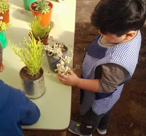 Impulsan un proyecto de huerta escolar para promover el aprendizaje sustentable desde la primera infancia
