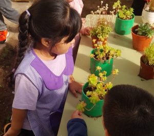 Impulsan un proyecto de huerta escolar para promover el aprendizaje sustentable desde la primera infancia