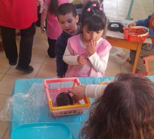Impulsan un proyecto de huerta escolar para promover el aprendizaje sustentable desde la primera infancia