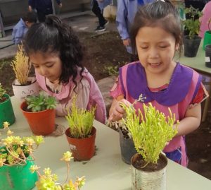 Impulsan un proyecto de huerta escolar para promover el aprendizaje sustentable desde la primera infancia