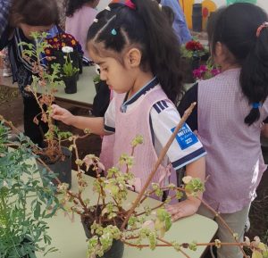 Impulsan un proyecto de huerta escolar para promover el aprendizaje sustentable desde la primera infancia
