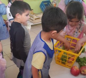 Impulsan un proyecto de huerta escolar para promover el aprendizaje sustentable desde la primera infancia