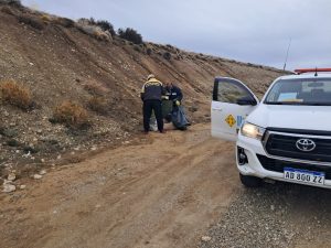 La provincia realiza tareas de mantenimiento y limpieza en rutas