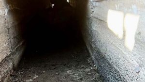 Provincia y Gobernador Gregores trabajan en la limpieza de canales y obras del sistema de riego público