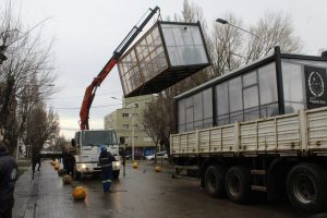 Exponen proyecto de hidroponía en Casa de Gobierno