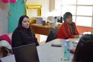 Realizaron una mesa de trabajo pedagógica con jardines de infantes de El Calafate y Puerto San Julián