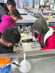 Impulsan jornadas pedagógicas y experiencias de articulación en Gobernador Gregores