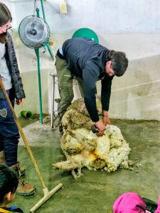 Impulsan jornadas pedagógicas y experiencias de articulación en Gobernador Gregores