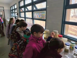Impulsan jornadas pedagógicas y experiencias de articulación en Gobernador Gregores