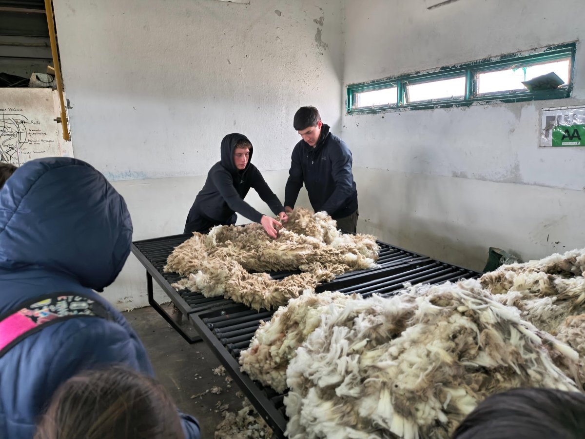 Impulsan jornadas pedagógicas y experiencias de articulación en Gobernador Gregores