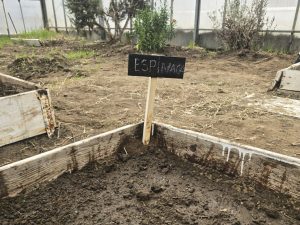 El CDI Manuelita a puro color y diversión festejó la llegada de la nueva estación