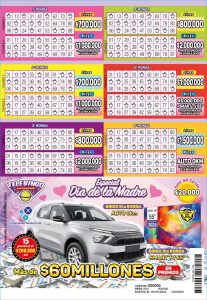 El Telebingo Especial Día de la Madre llega a Gobernador Gregores con más de $60 millones en premios
