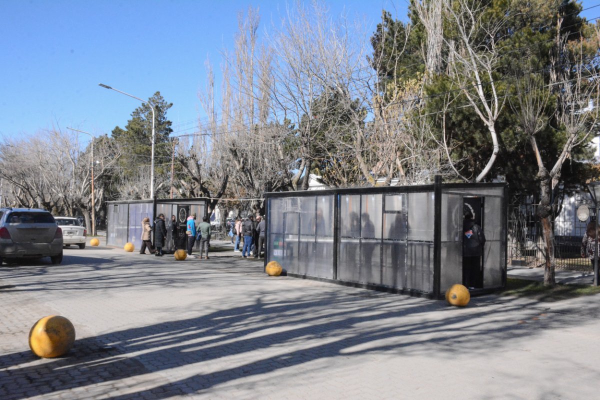 El Gobierno refuerza la producción familiar con 10.000 kits de semillas y nuevas experiencias de hidroponía