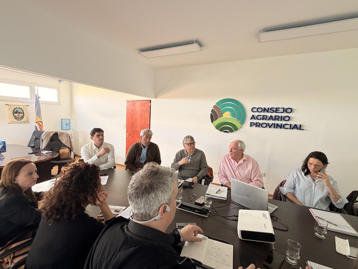 Comisión Asesora de Guanacos: analizaron el crecimiento de la especie y los desafíos para el sector productivo