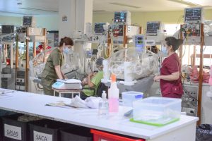 “Todo se trabaja en equipo”: el corazón de Neonatología