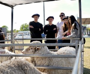 Estudiantes de Gobernador Gregores representan a Santa Cruz en las Ovinpiadas Argentinas 