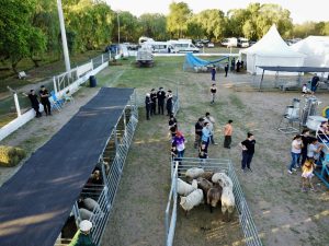 Estudiantes de Gobernador Gregores representan a Santa Cruz en las Ovinpiadas Argentinas 