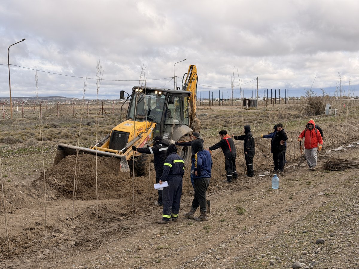 Forestación en el ingreso a Las Heras: comenzó un plan que contempla 10.000 árboles