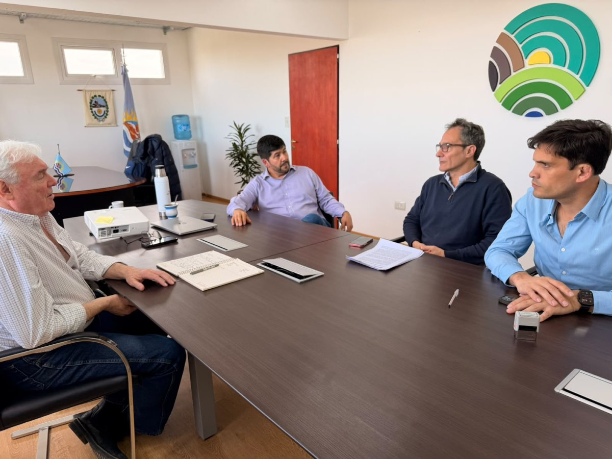 Provincia amplía experiencias con maíz para una producción forrajera