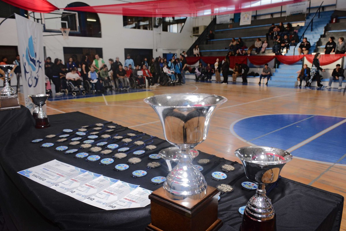 Torneo de boccias paralímpicas en Santa Cruz: participan deportistas de toda la provincia