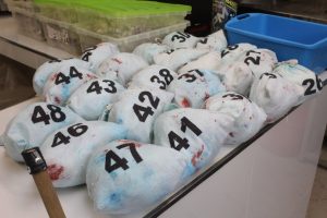 Del campo al mercado: el análisis de la lana permite conocer su calidad y mejorar su valor