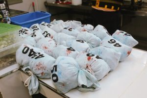 Del campo al mercado: el análisis de la lana permite conocer su calidad y mejorar su valor