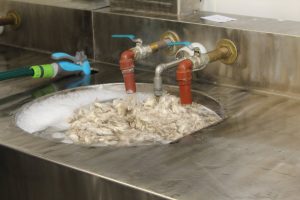 Del campo al mercado: el análisis de la lana permite conocer su calidad y mejorar su valor