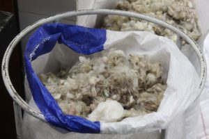 Del campo al mercado: el análisis de la lana permite conocer su calidad y mejorar su valor