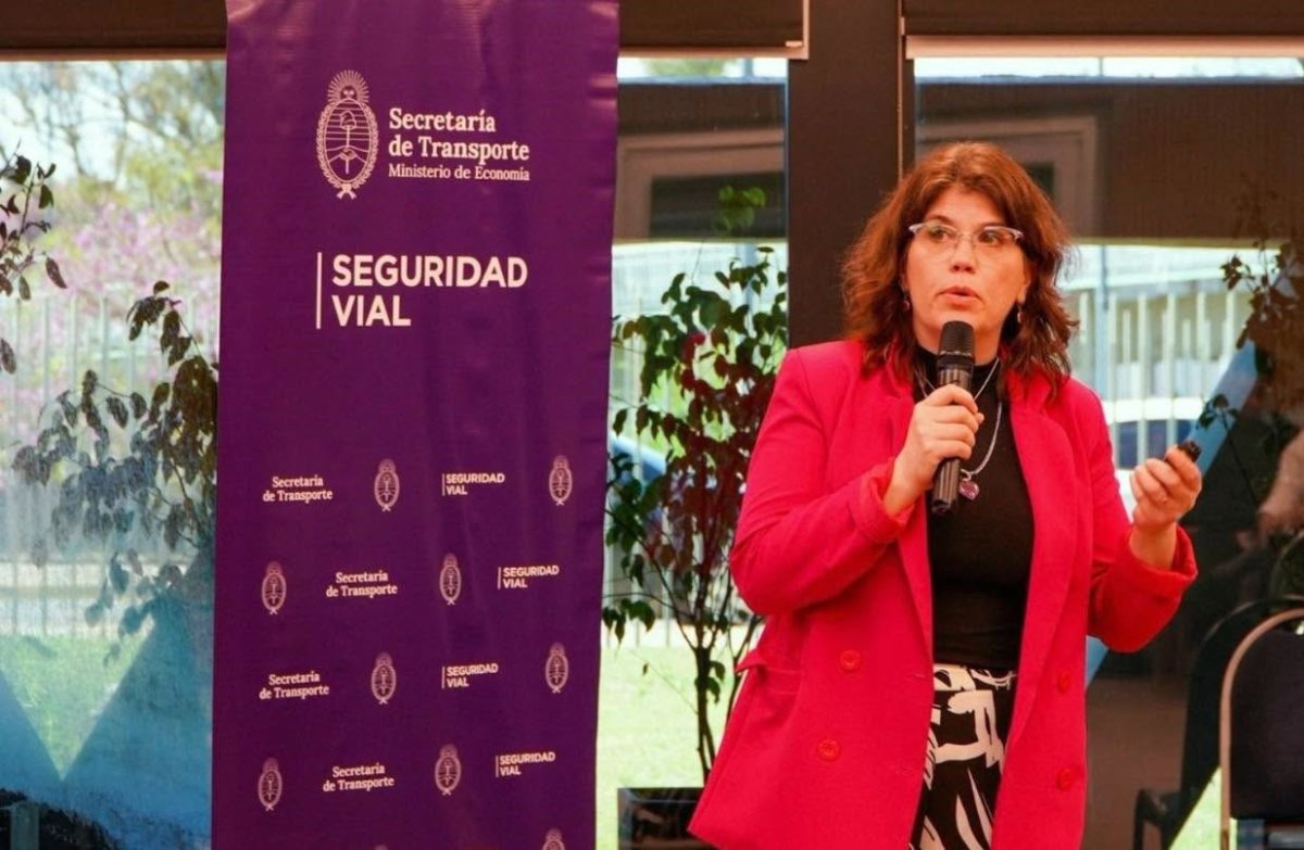 Provincia presentó el Observatorio Vial ante el Consejo Federal de Seguridad Vial
