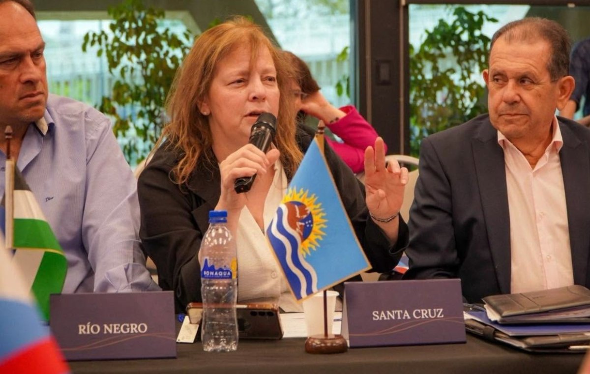 Provincia presentó el Observatorio Vial ante el Consejo Federal de Seguridad Vial