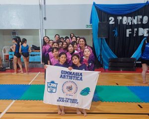 Gimnastas de Río Turbio se destacaron en el Torneo Regional Federativo Patagonia Sur