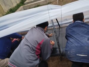 Estudiantes del CPESRI N° 35 Sede Tellier ponen en marcha una producción de frutillas en microtúnel