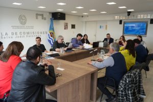 Transparencia y funcionamiento: Ricci expuso en la comisión de trabajo sobre Santa Cruz Puede S.A.U.