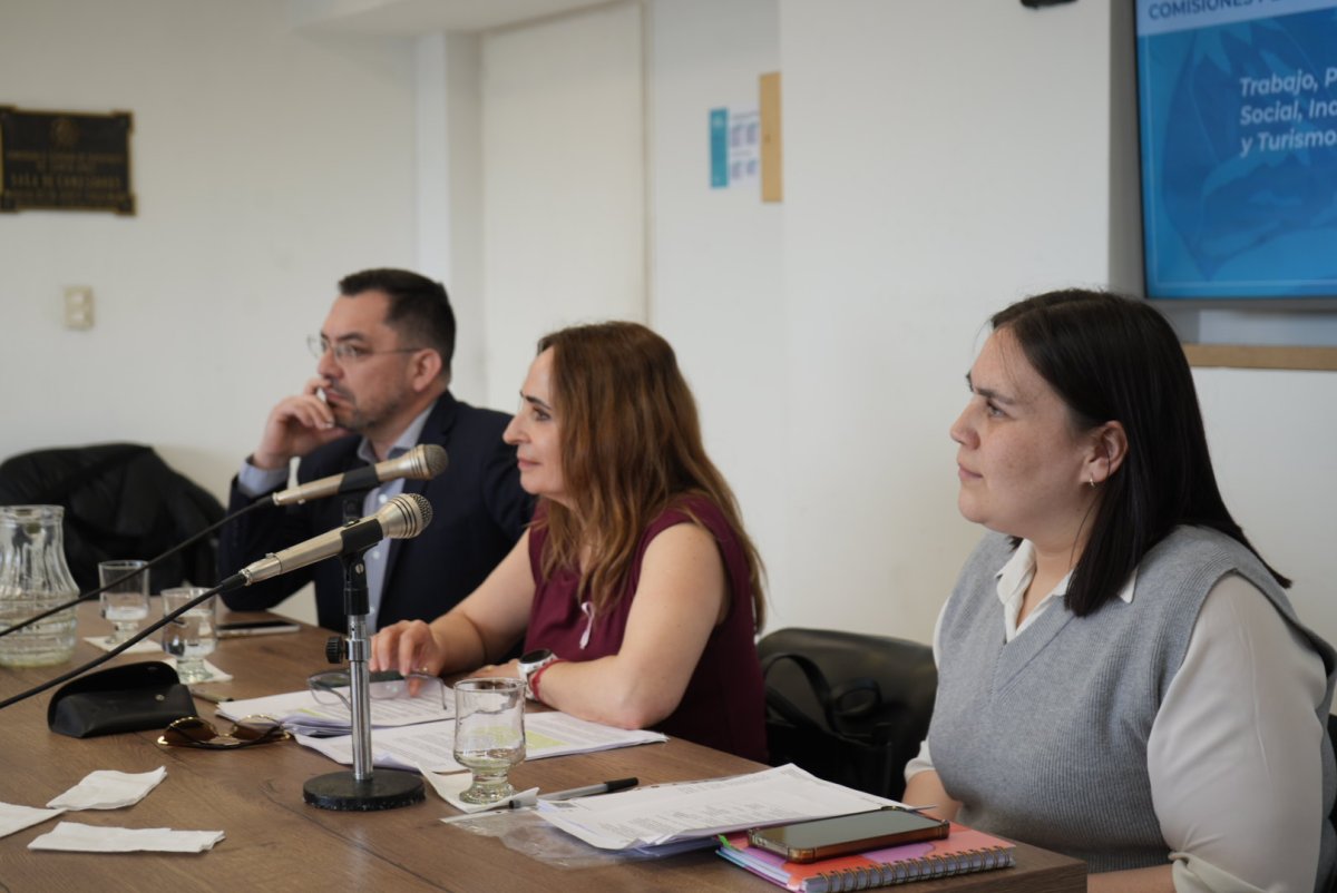 Transparencia y funcionamiento: Ricci expuso en la comisión de trabajo sobre Santa Cruz Puede S.A.U.