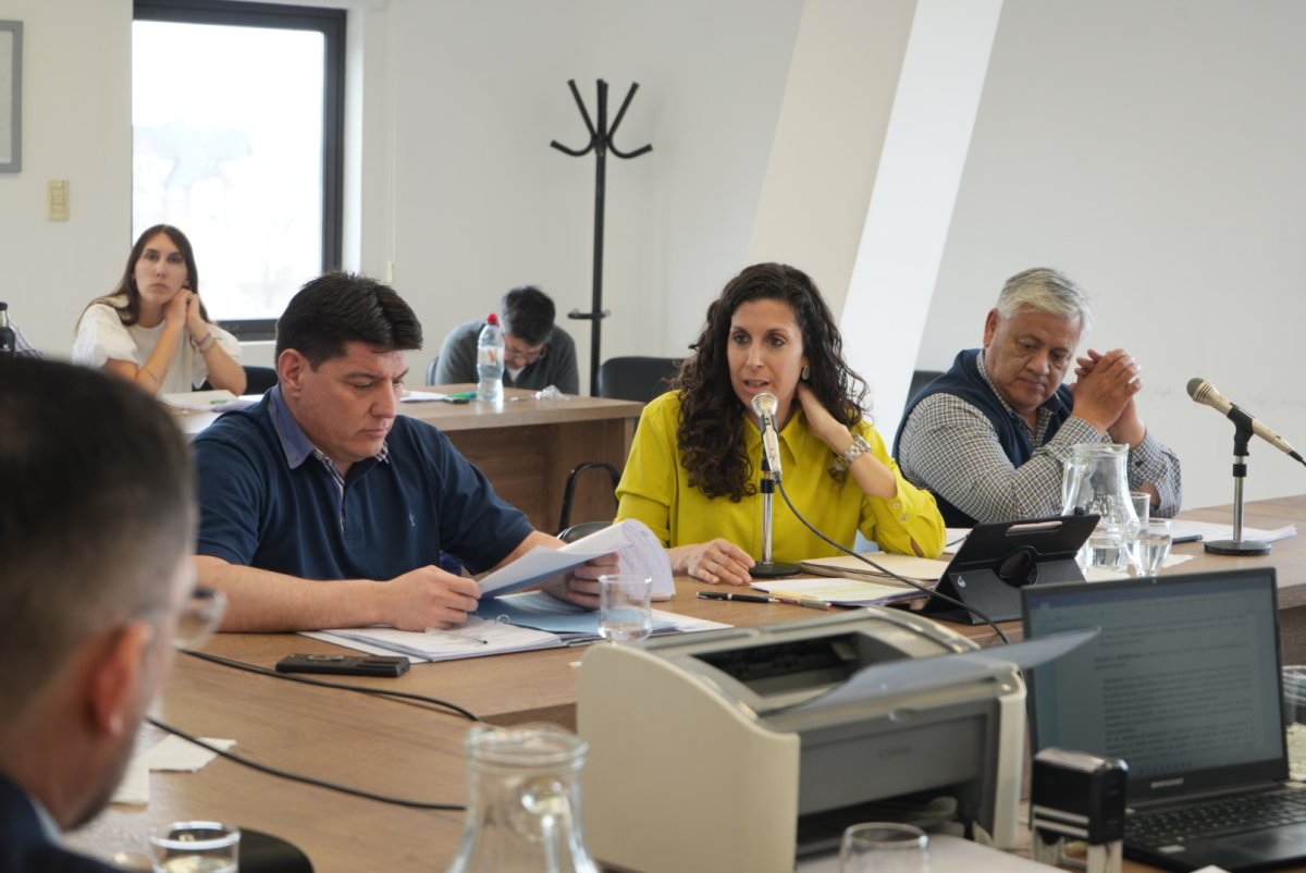 Transparencia y funcionamiento: Ricci expuso en la comisión de trabajo sobre Santa Cruz Puede S.A.U.
