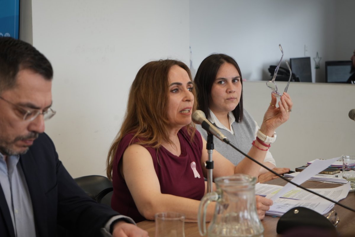 Transparencia y funcionamiento: Ricci expuso en la comisión de trabajo sobre Santa Cruz Puede S.A.U.